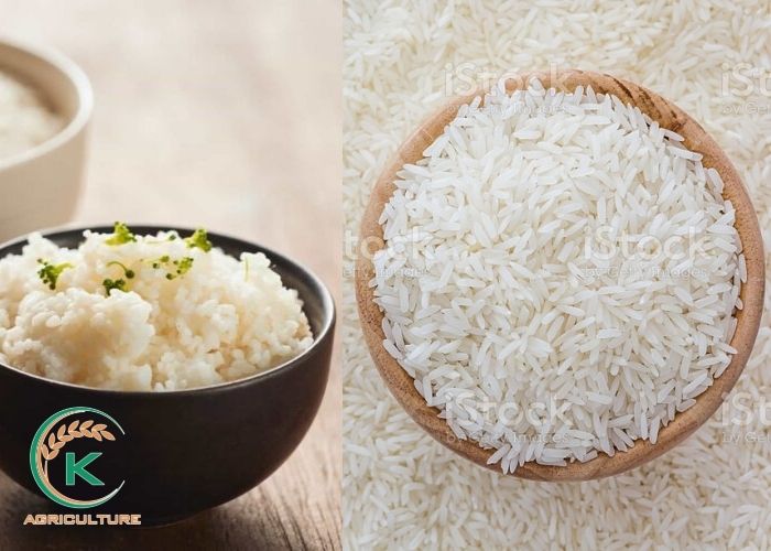 Long-grain-rice.jpg