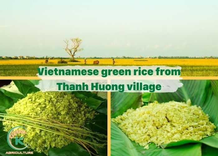 Vietnamese-green-rice-2.jpg
