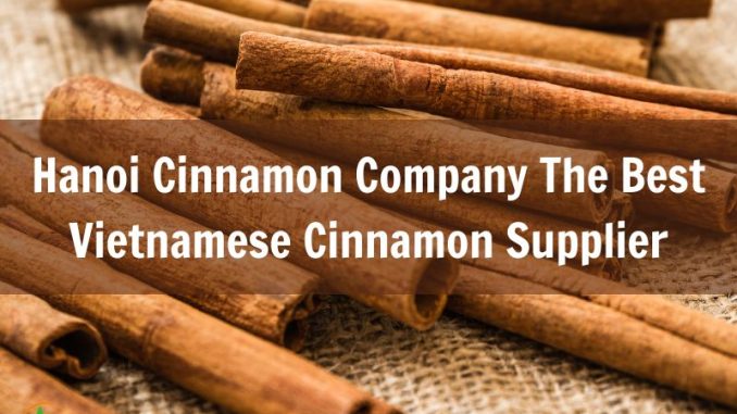 hanoi-cinnamon-company-the-best-vietnamese-cinnamon-supplier