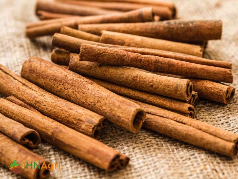 cinnamon-sticks-in-bulk-a-comprehensive-guide-for-wholesalers-1