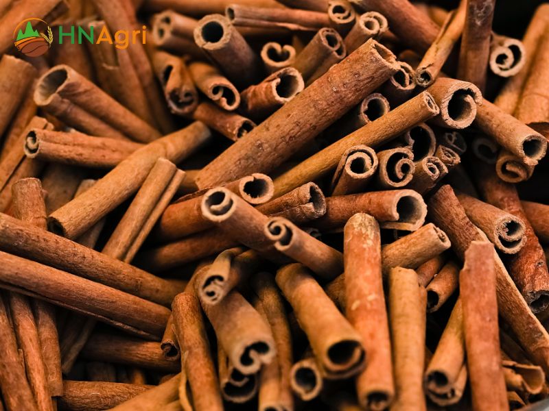 cinnamon-sticks-in-bulk-a-comprehensive-guide-for-wholesalers-2