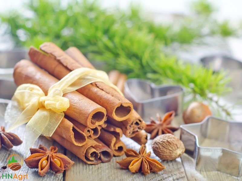 hanoi-cinnamon-company-the-best-vietnamese-cinnamon-supplier-2
