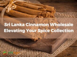 sri-lanka-cinnamon-wholesale-elevating-your-spice-collection