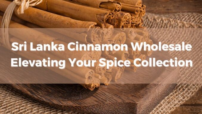 sri-lanka-cinnamon-wholesale-elevating-your-spice-collection