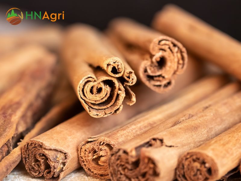 sri-lanka-cinnamon-wholesale-elevating-your-spice-collection-1