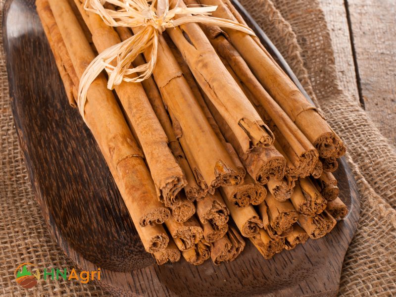 sri-lanka-cinnamon-wholesale-elevating-your-spice-collection-2