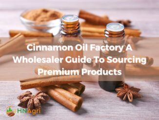 cinnamon-oil-factory-a-wholesaler-guide-to-sourcing-premium-products