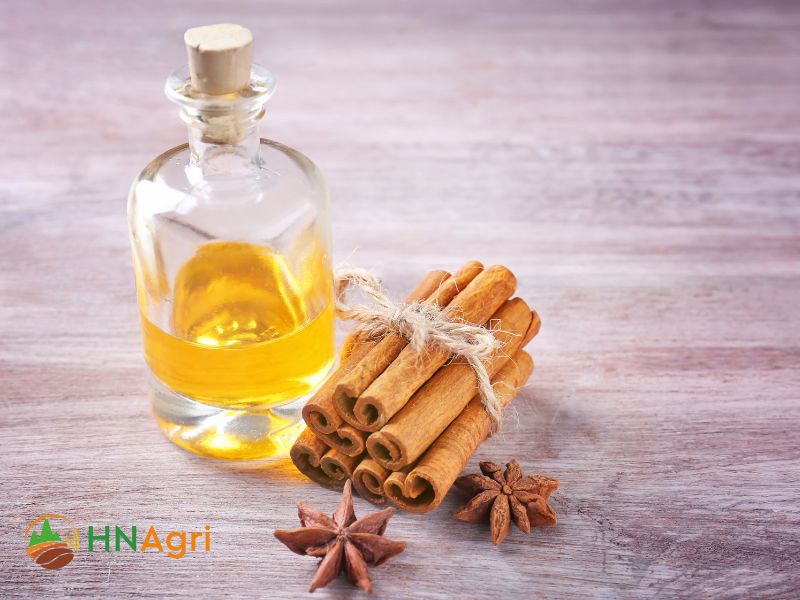 cinnamon-oil-factory-a-wholesaler-guide-to-sourcing-premium-products-1
