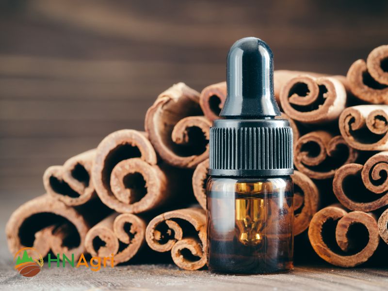 cinnamon-oil-factory-a-wholesaler-guide-to-sourcing-premium-products-2