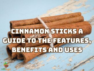 cinnamon-sticks-a-guide-to-the-features-benefits-and-uses