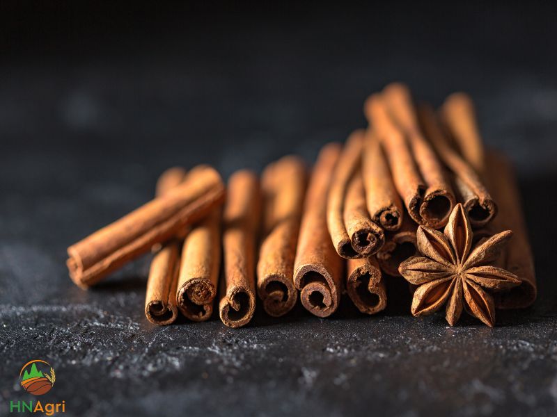 cinnamon-sticks-a-guide-to-the-features-benefits-and-uses-2