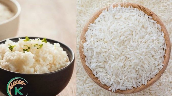 Rice-companies.jpg