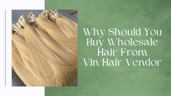 Why Should You Buy Wholesale Hair From Vin Hair Vendor